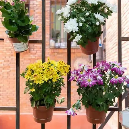 Ace Z12 Céntrico 3 Pax - Parking Gratis *