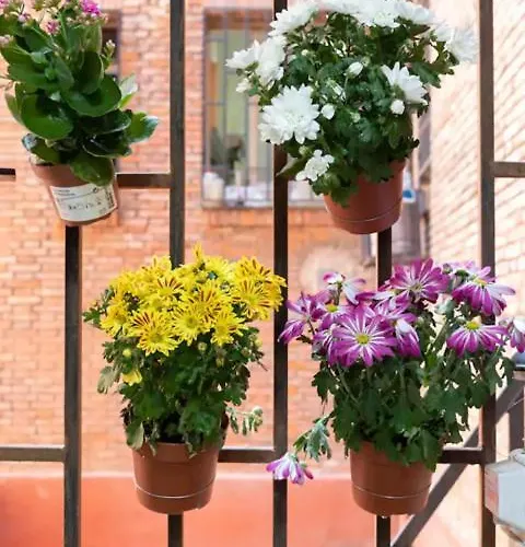 Ace Z12 Céntrico 3 Pax - Parking Gratis *